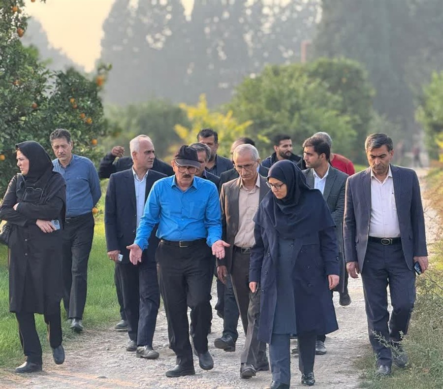 رئیس سازمان حفظ نباتات: استمرار پایش، آموزش به ...