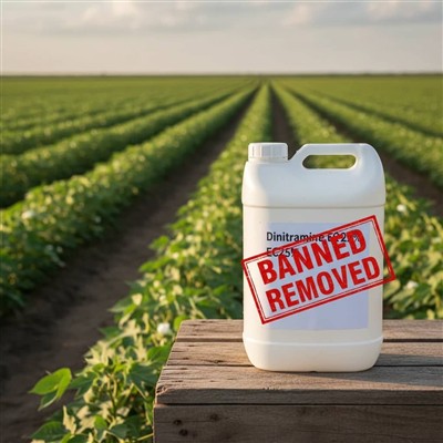 علف‌كش دی نیترامین از فهرست سموم مجاز كشور حذف شد