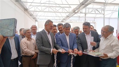 تأكید سازمان حفظ نباتات بر سازگاری اقلیمی و توسعه صادرات