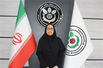 پایش و كنترل آفات در نخلستان‌های هرمزگان