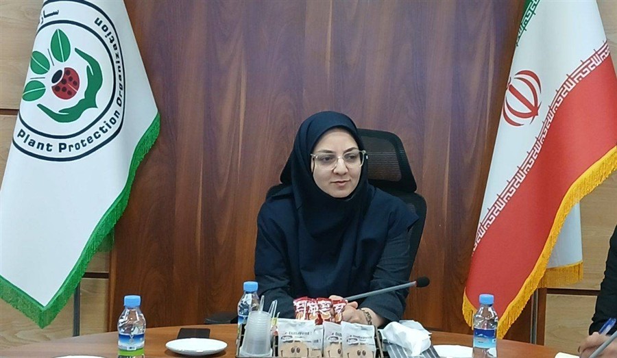انسجام درون‌سازمانی و تعامل بین‌نهادی، پایه‌ها ...