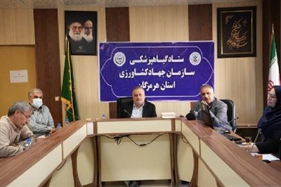 ۴۴ هزار نخل برای مقابله با آفت خرما در هرمزگان ردیابی شد