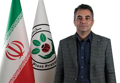 سرخرطومی حنایی خرما مهمترین آفت نخیلات در جهان