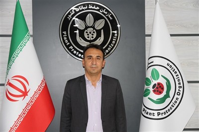 فارس پیشتاز تولید خرما و مقابله با آفات نخیلات