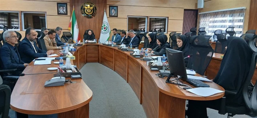 تأكید بر نظام‌مندسازی صادرات كیوی؛ بهره‌گیری ا ...