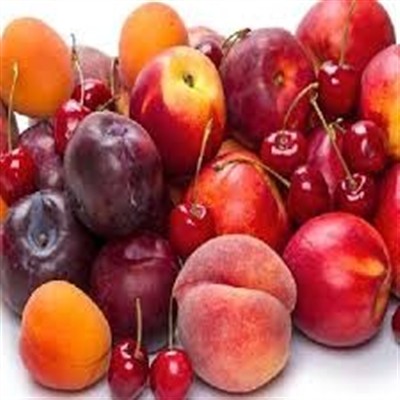 واكنش جهادكشاورزی اسدآباد به گزارش آفات باغات پالیز