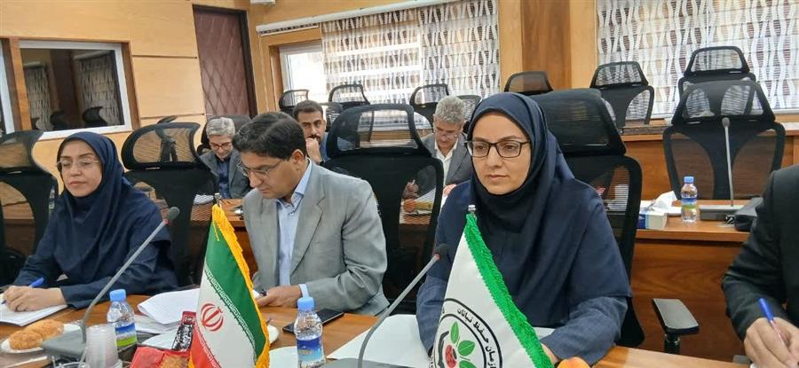 نشست مشترك ایران و پاكستان زمینه‌ساز توسعه همك ...