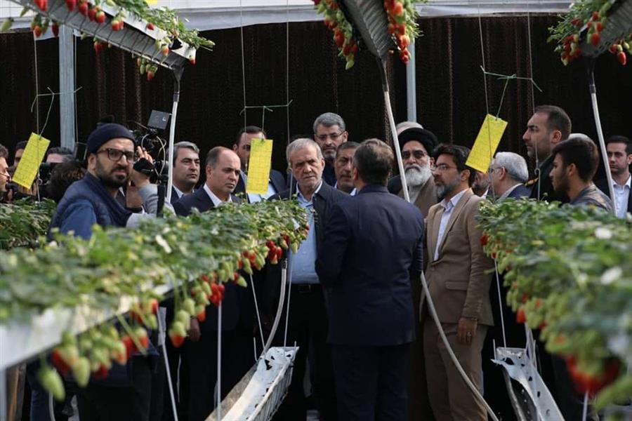 كدام طرح‌های كشاورزی در سفر دولت به جنوب شرق ت ...